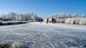 Skridskoåkare på isen